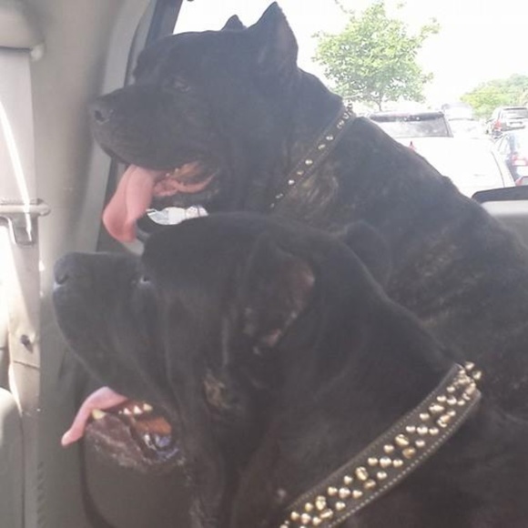 Meet your Posher, Ruth - Picture 1 of 1